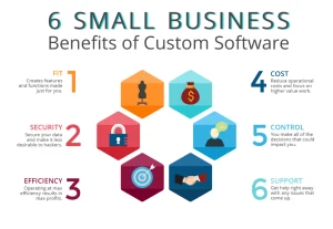 What are the advantages of custom software for small business owners